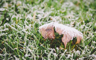 霜降｜ 秋將逝，冬將至