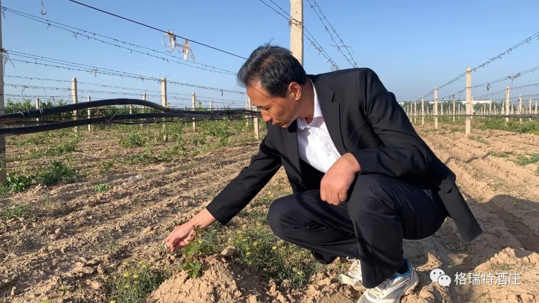 15903104625476.jpg 640.webp (5).jpg