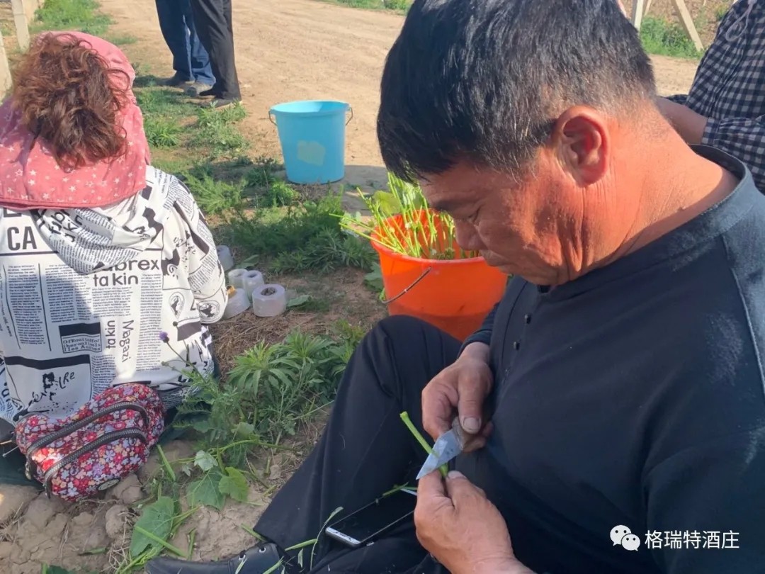 15903105297602.jpg 640.webp (7).jpg