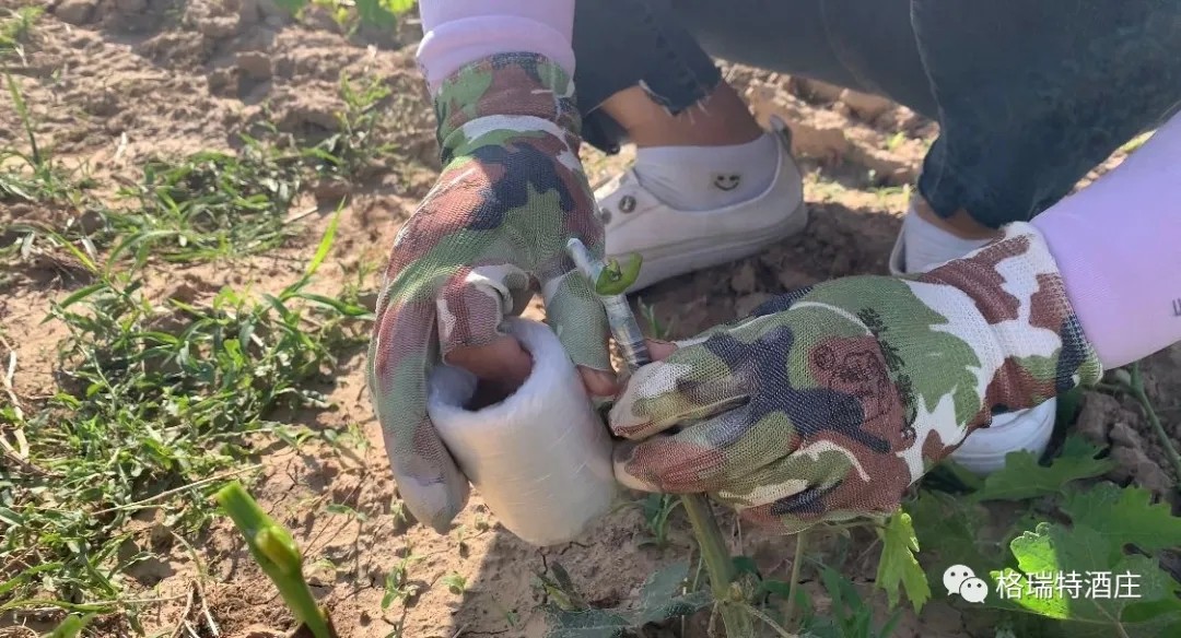 15903105783102.jpg 640.webp (9).jpg