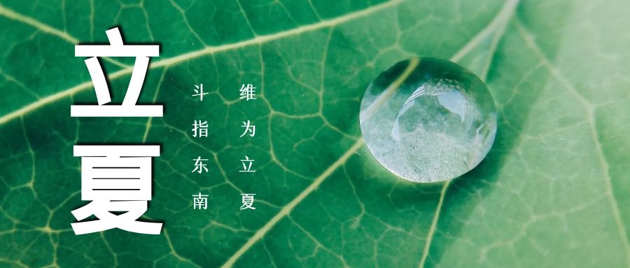 立夏 ▏綠蔭濃，夏日長