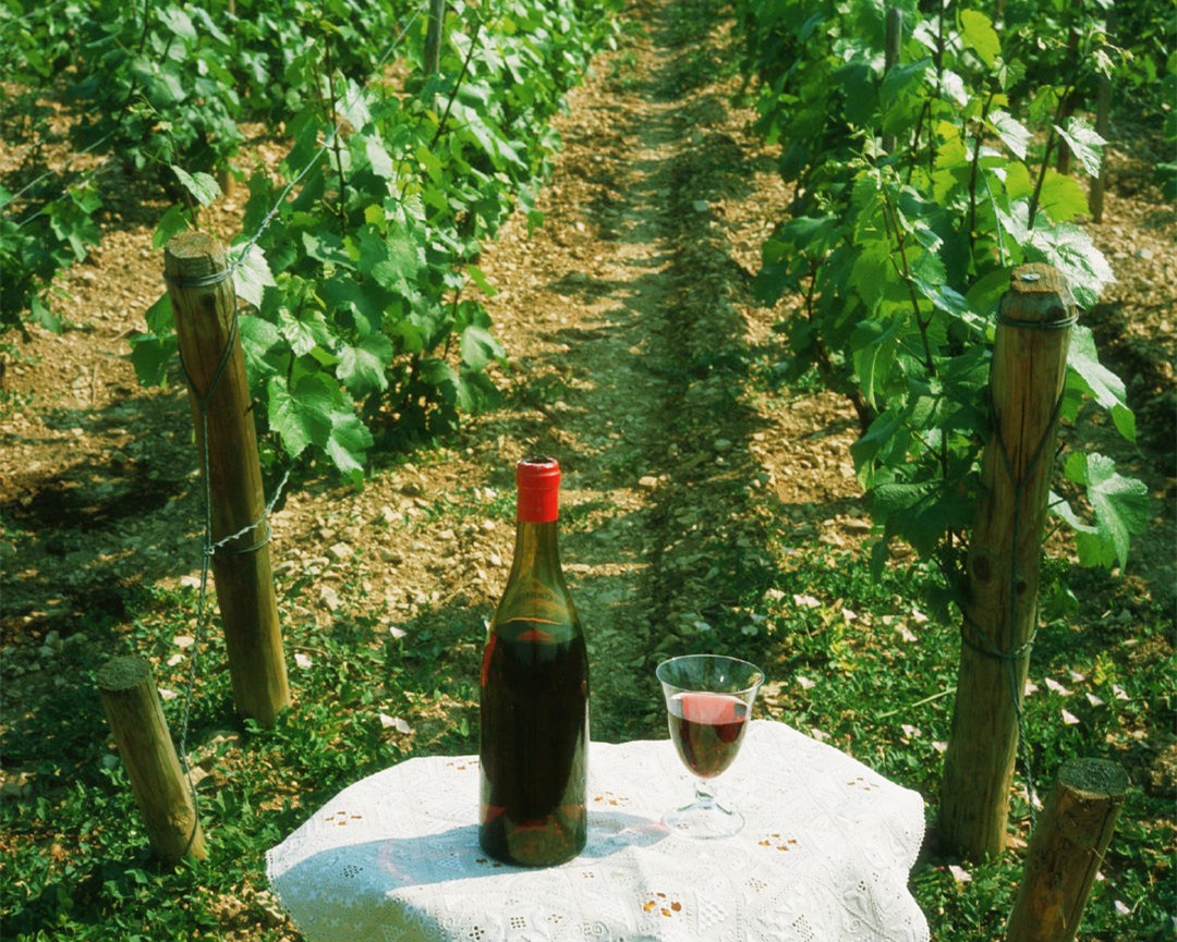 16286644312620.jpg 微信圖片_20210810084754.jpg