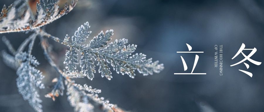 立冬 ▎朔風(fēng)始起，萬物境藏