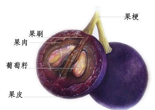 16369431833015.jpeg 69c267a59fac4987b3c42f85bc895238.jpeg