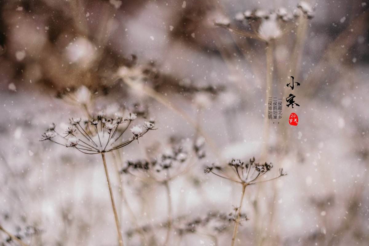 16413441229196.jpeg 68edbfb64bac29c5687150edbed08481.jpeg