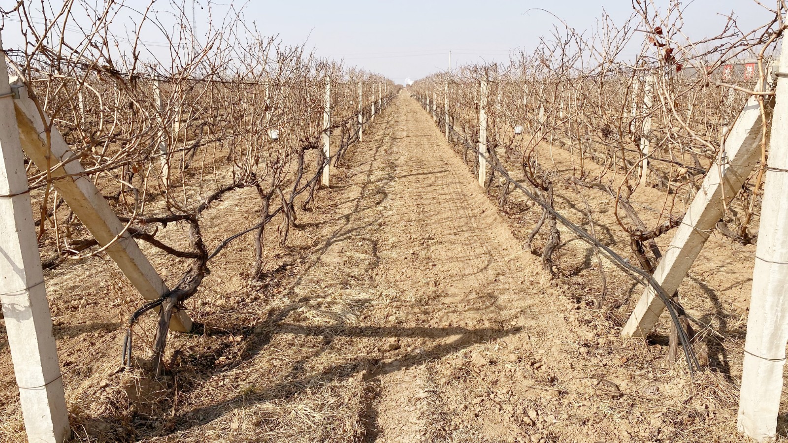 16413441356953.jpg 微信圖片_20220104093817.jpg