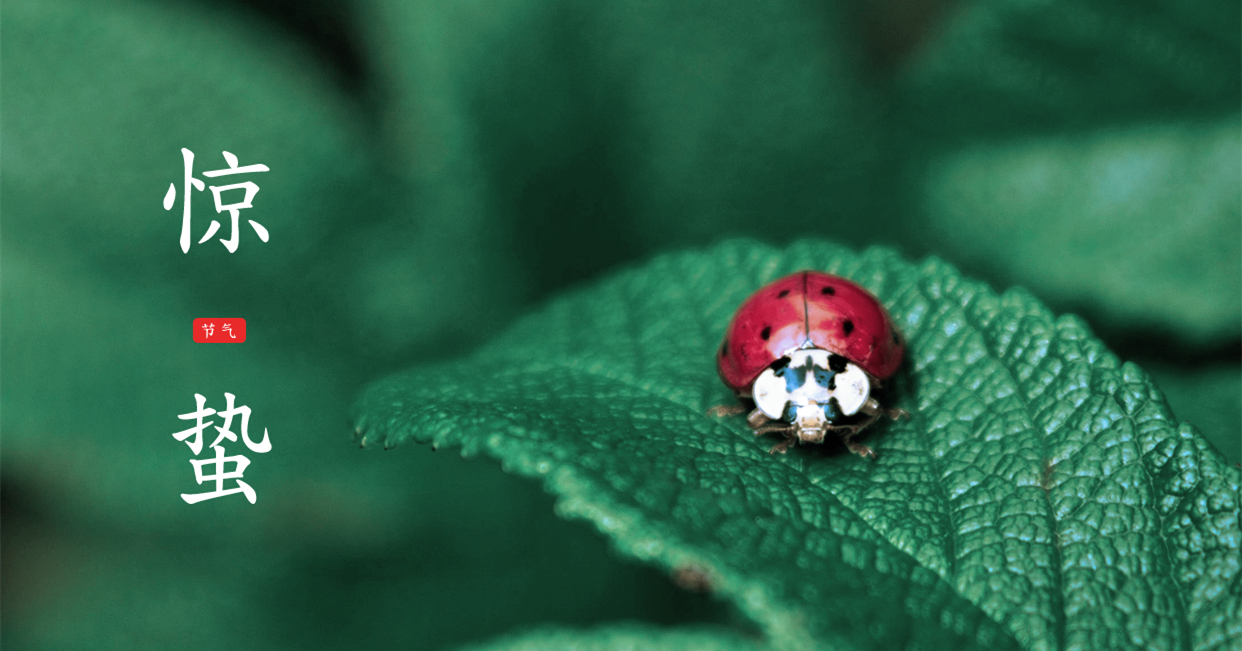 驚蟄 ▎驚蟄始，萬物舒，與你聽風(fēng)望春來