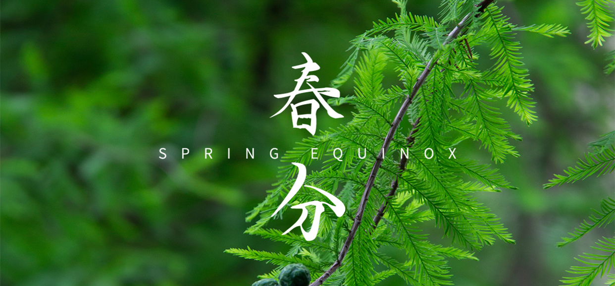 春分 ▎不負(fù)春光，萬(wàn)物生長(zhǎng)