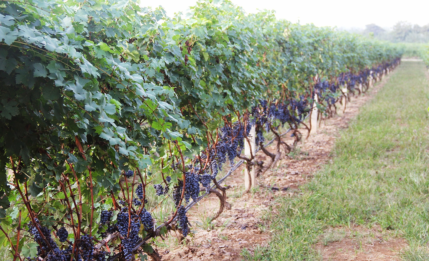 16628796958388.jpg 5_副本.jpg