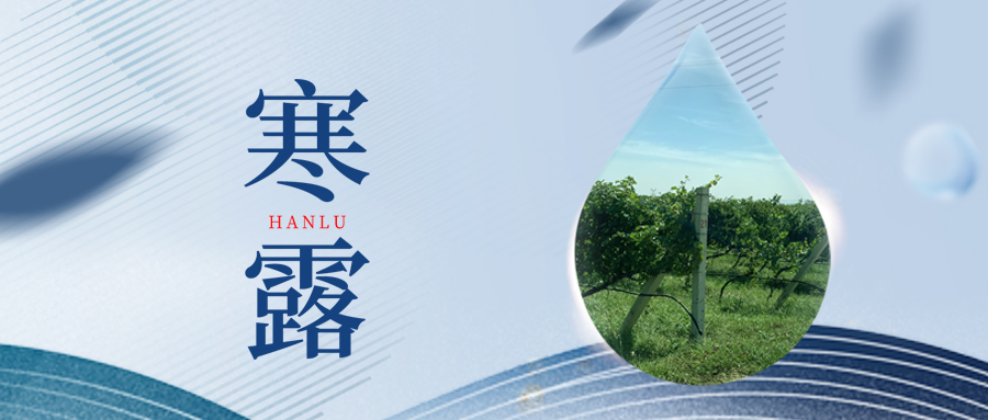 寒露丨夜露凝寒，萬(wàn)物皆秋