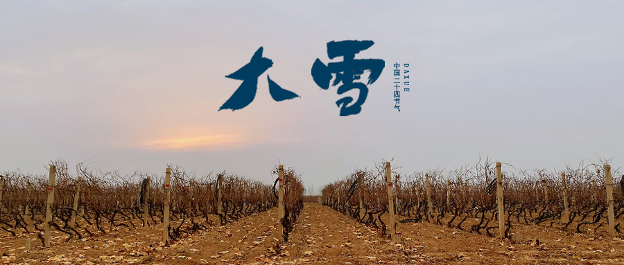 大雪 ▎世界留白，天地靜美