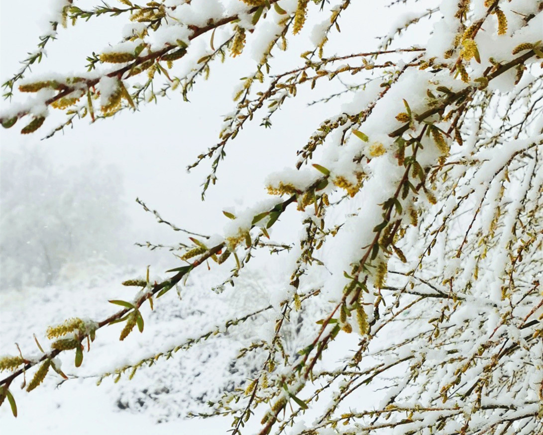 16745282029587.jpg 微信圖片_20230119151026.jpg