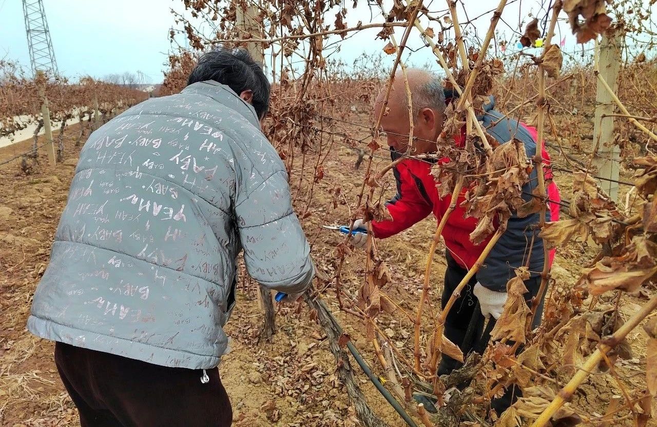 17114237052582.jpg d47af4857ed4b44a0e289737170d2d51.jpg