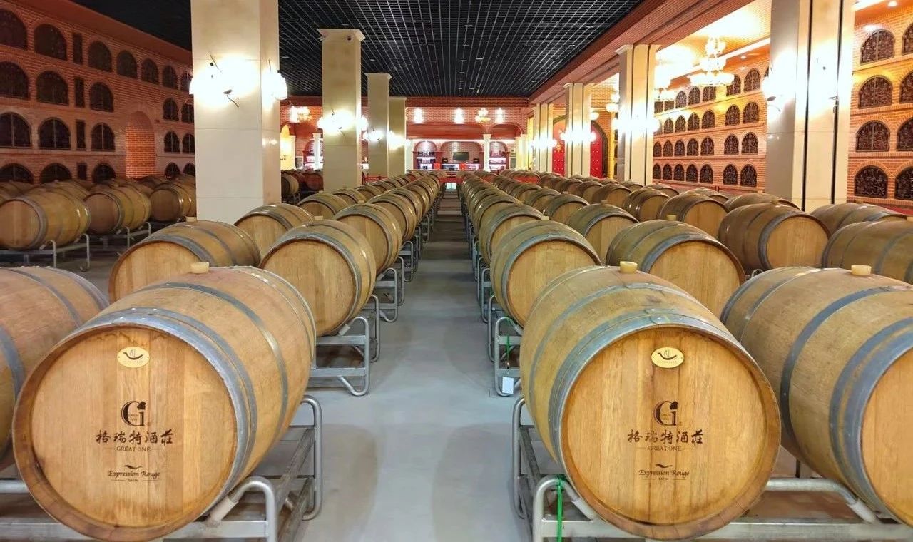 17161895143023.jpg ff0a232e9ffa50115174eb1c86d25bea.jpg